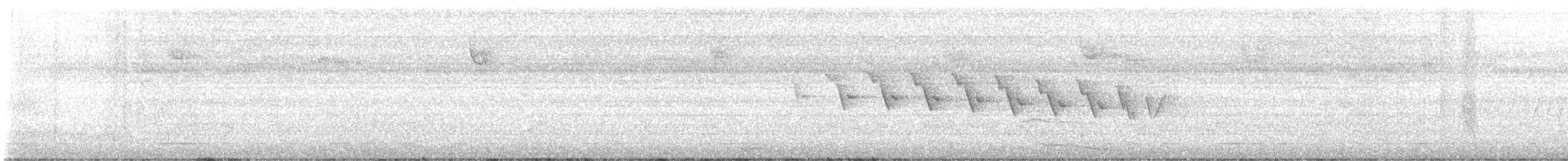 Yellow-throated Warbler - ML617922019