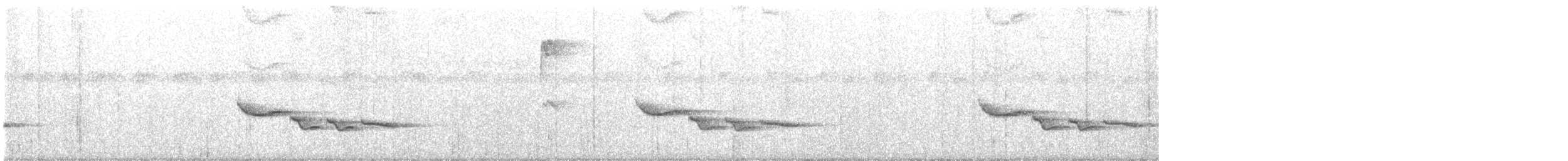 Troglodyte à poitrine blanche - ML617922043