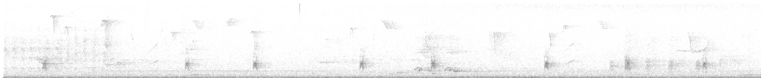 Grauband-Ameisenvogel - ML617922181