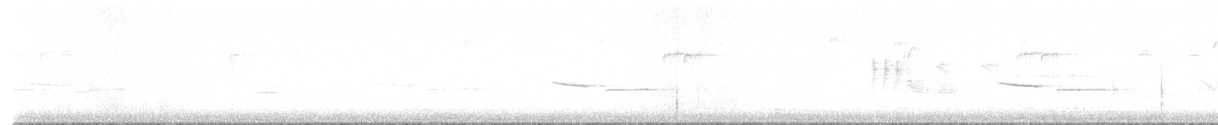 Black-capped Chickadee - ML617922551