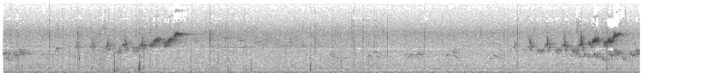 Black-throated Gray Warbler - ML617922960