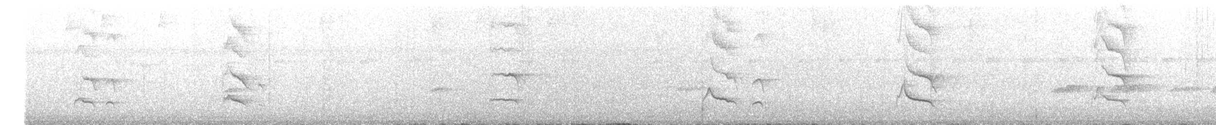Кокоа плямистий - ML617924800