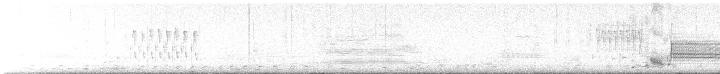 Troglodyte des marais - ML617925074
