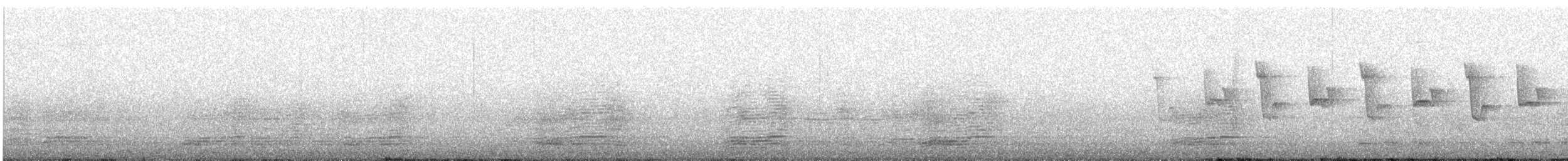 Common Chiffchaff - ML617926611