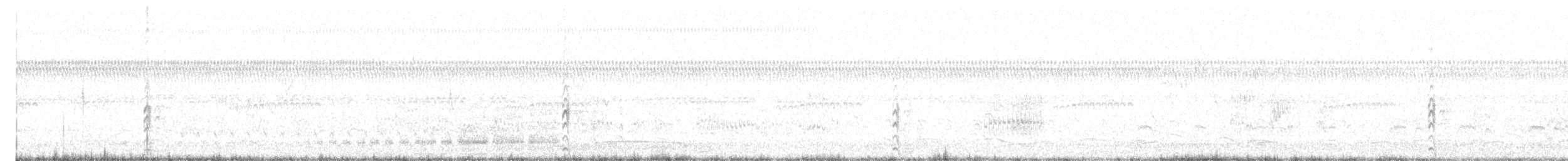 Common Gallinule - ML617927635