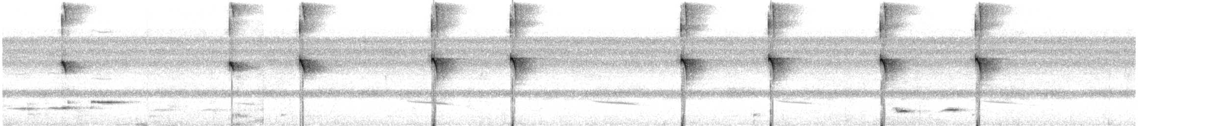 Painted Tody-Flycatcher - ML617929523