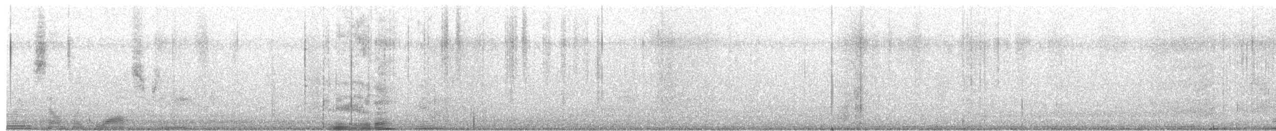 Calliope Hummingbird - ML617929994