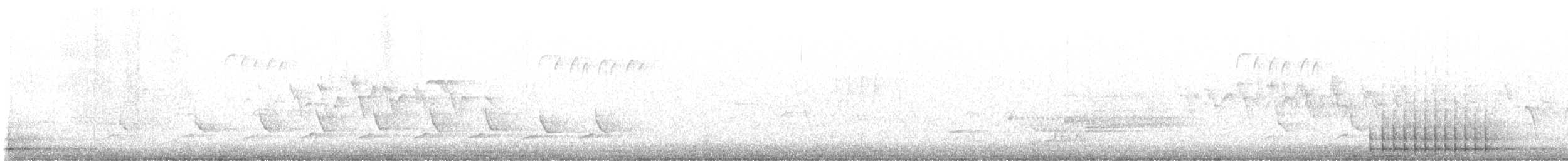Dunenspecht (pubescens/medianus) - ML617931360