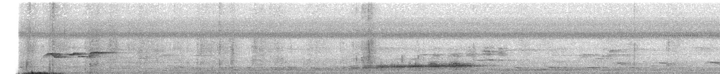 Серый павлиний фазан - ML617933060