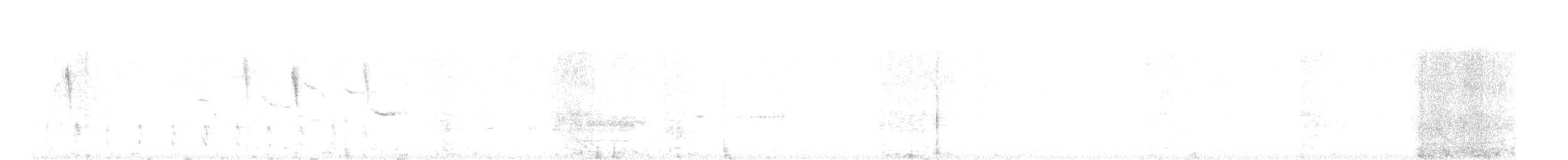 Wilsonbekassine - ML617934129