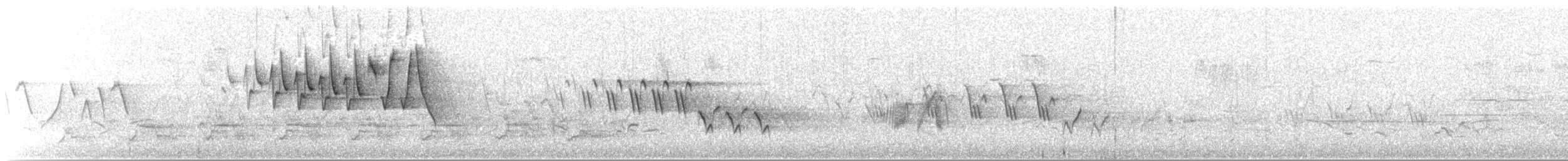 Chestnut-sided Warbler - ML617934748