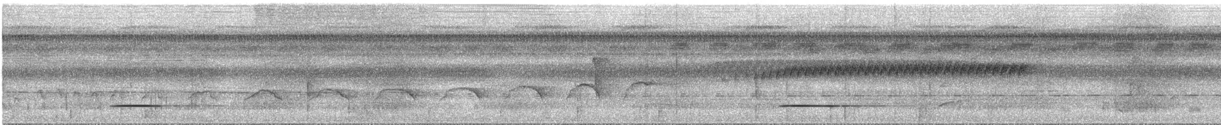 Cinereous Tinamou - ML617936531