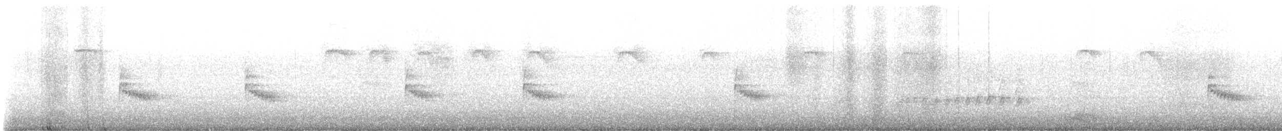Поплітник каролінський - ML617936559