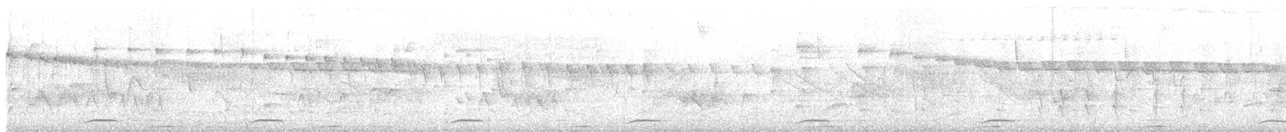 holub kostarický - ML617936763