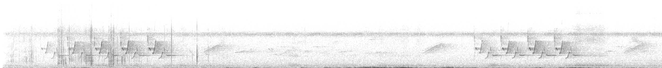 Поплітник каролінський - ML617936798