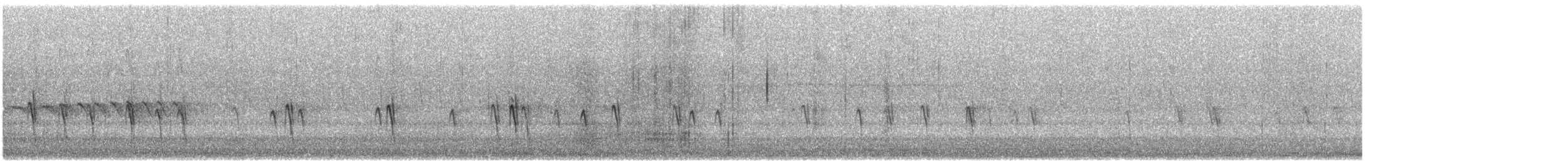 Bec-croisé des sapins (type 12) - ML617936934