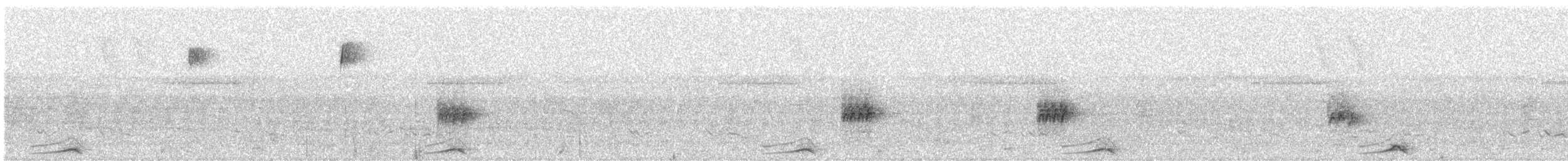 Lattice-tailed Trogon - ML617937092