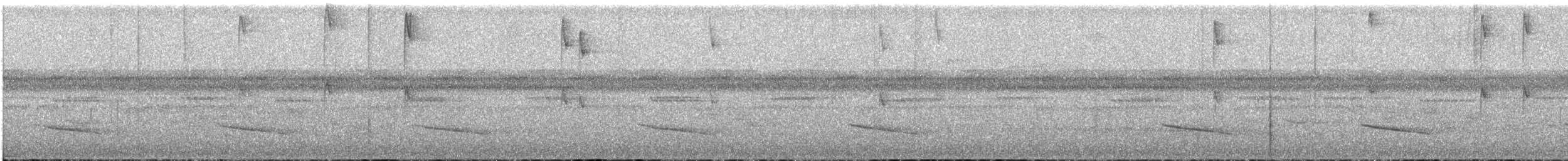 Прямоклювый колибри-отшельник - ML617941258