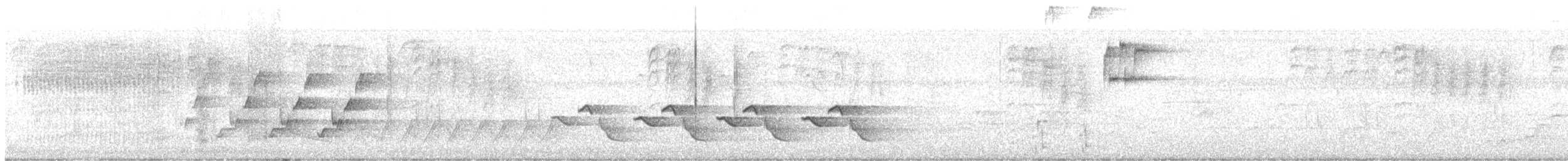 Поплітник каролінський - ML617949361