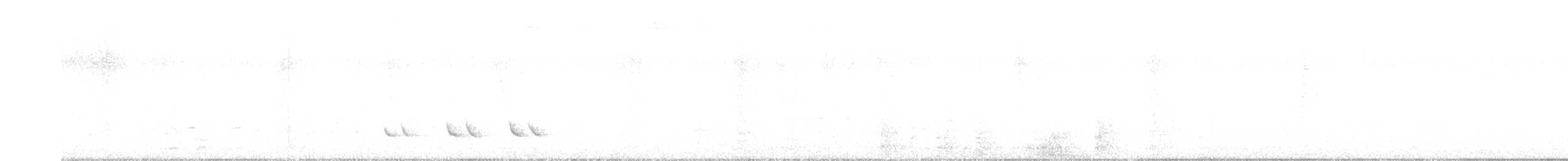 Белокрылый бекард - ML617951070