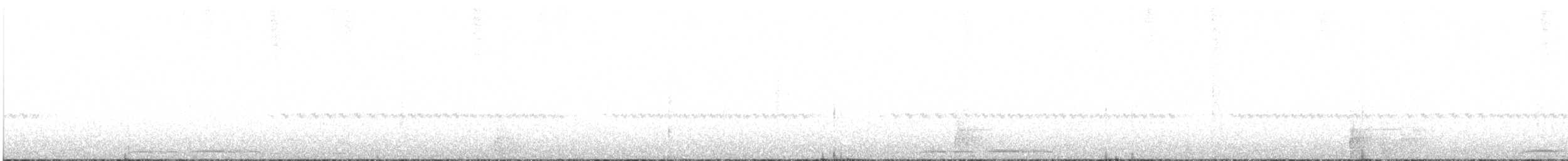 sovka novozélandská - ML617953571