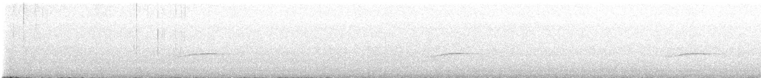 Western/Eastern Wood-Pewee - ML617953733