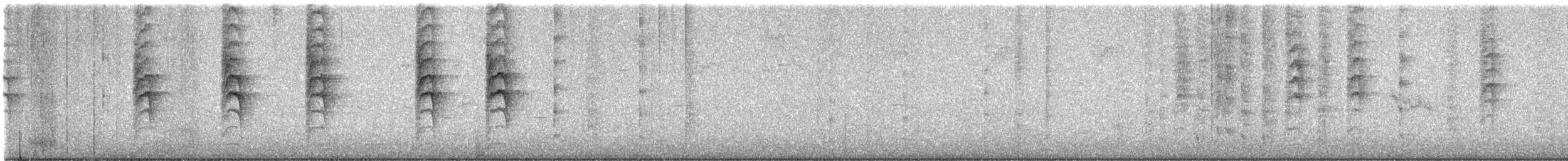 Новозеландская веерохвостка - ML617953824