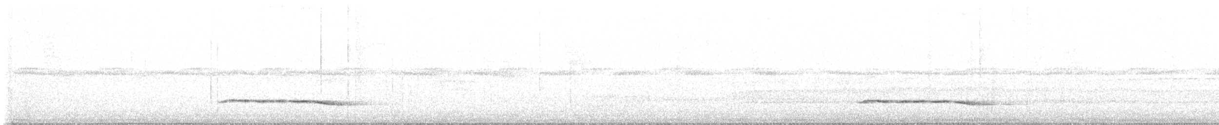 Белогрудый крапивник - ML617954324