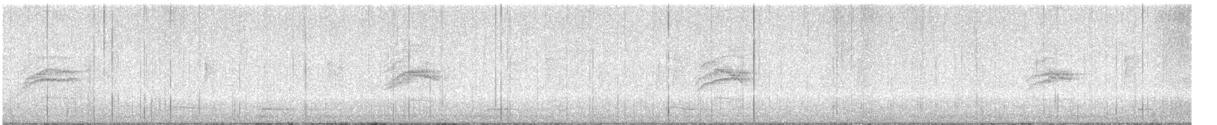 Дрізд-короткодзьоб плямистоволий - ML617955055