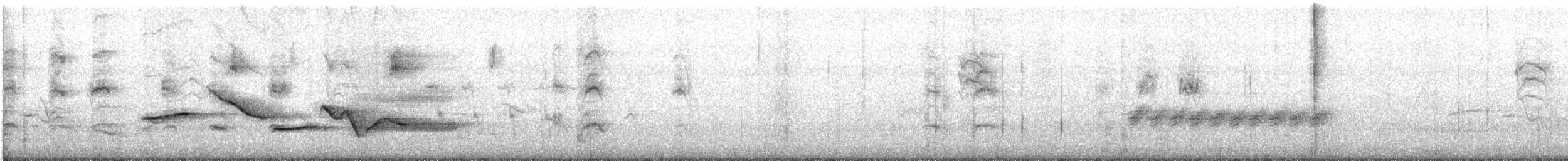 Spot-breasted Wren - ML617957846