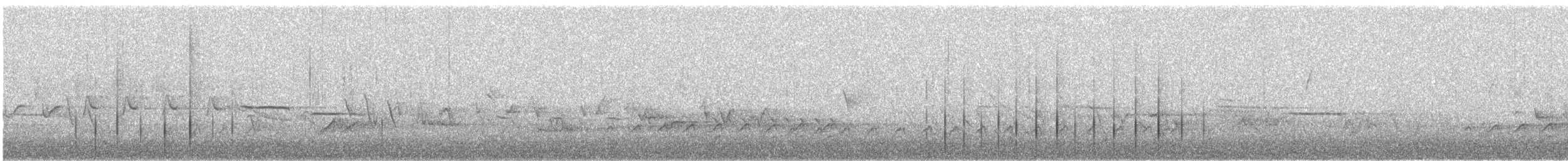 Дятел-смоктун білочеревий - ML617958667