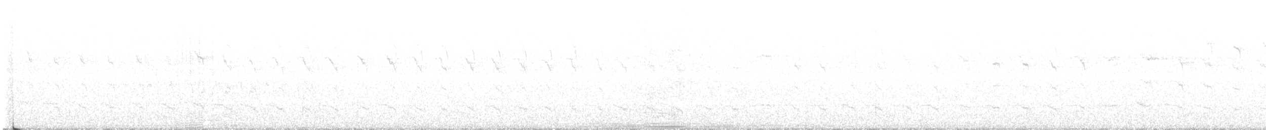 Дятел-смоктун білочеревий - ML617960737