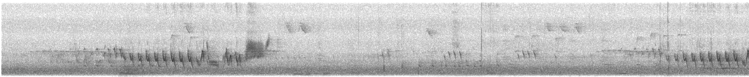 Madeira Chaffinch - ML617962349