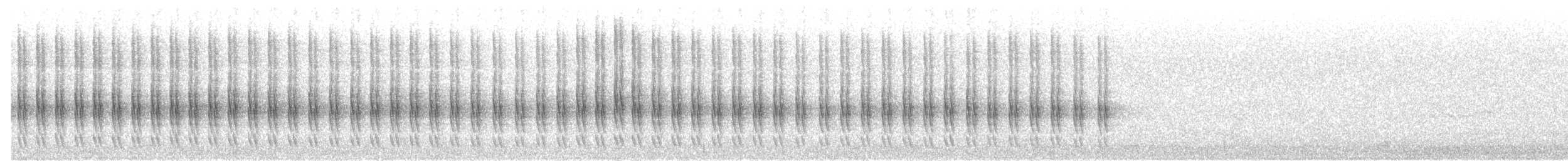 Rhipidure hochequeue - ML617962616