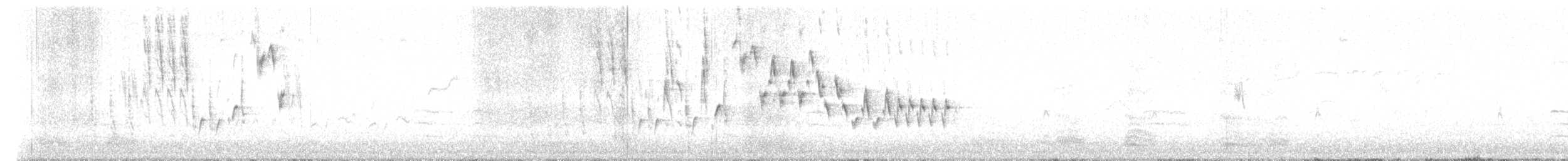 Northern House Wren - ML617965470