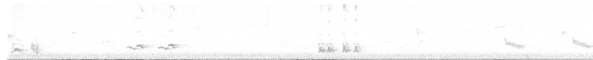 Тремблер прямодзьобий - ML617965497