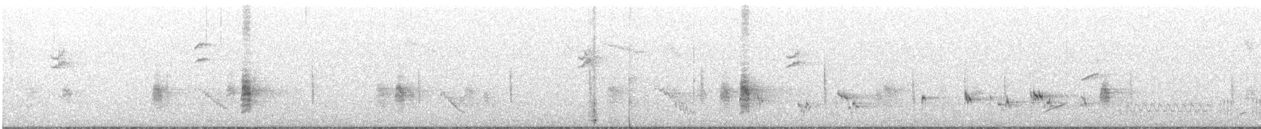 Gray-streaked Flycatcher - ML617965600