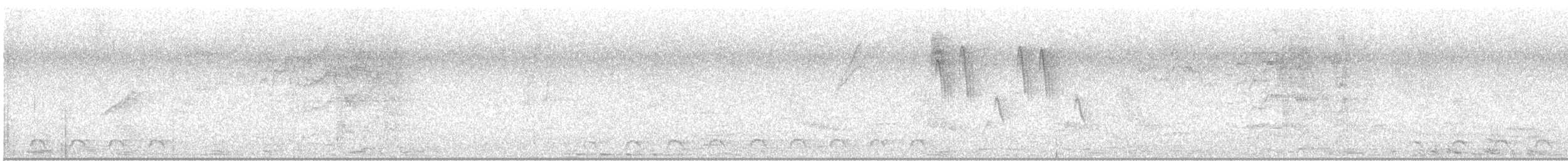 Trogón Violáceo Norteño - ML617968297