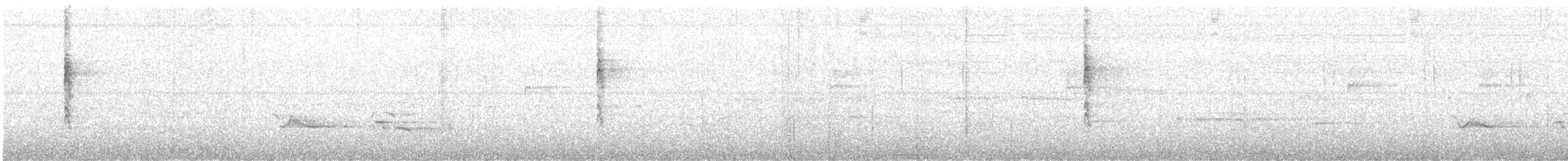 Troglodyte de Baird - ML617968660