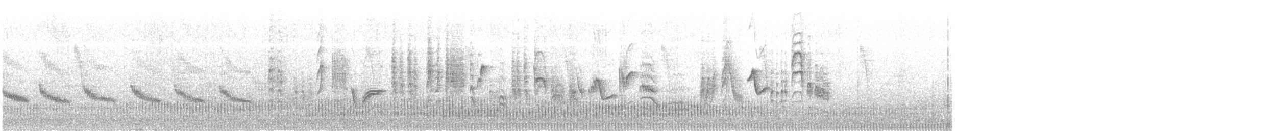 שיחנית רוננת - ML617969403