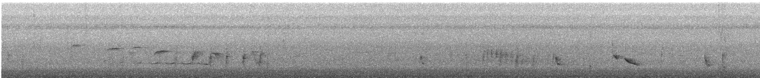 Ошейниковая веерохвостка - ML617970600
