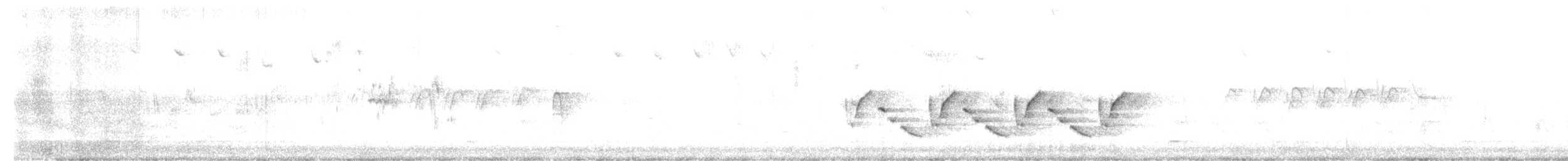 Каролинский крапивник - ML617971752