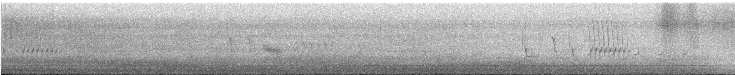 Eastern Towhee - ML617972177