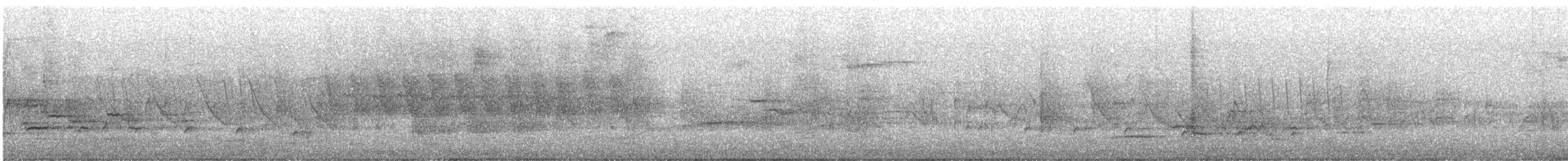 Дрізд-короткодзьоб плямистоволий (підвид faxoni/crymophilus) - ML617973024