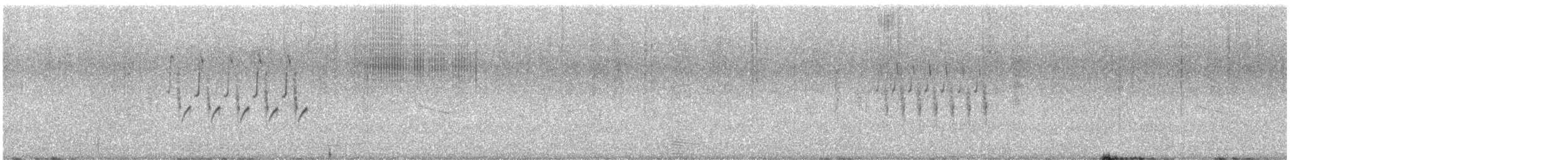 Troglodyte de Latham - ML617975198