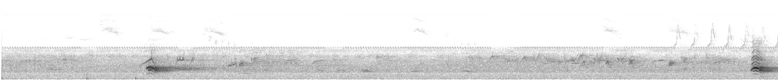 Yellow-crowned Night Heron - ML617979090