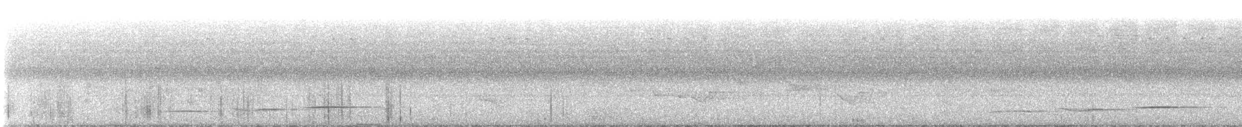 White-tailed Alethe - ML617979830