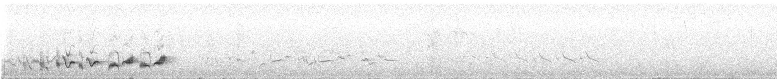 Western Orphean Warbler - ML617981225