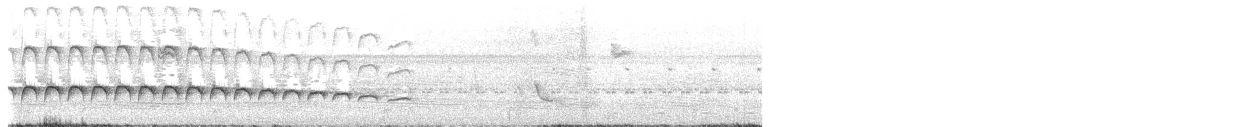 Large-tailed Antshrike - ML617981629