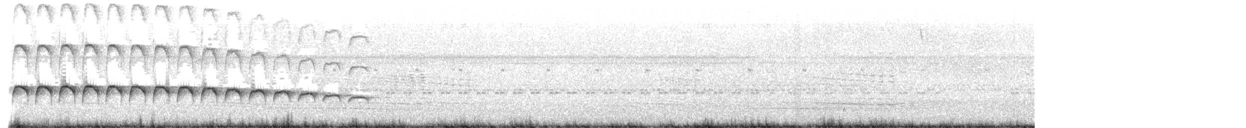 Large-tailed Antshrike - ML617981689